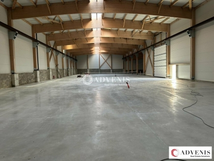 Advenis RES - Immobilier d'entreprises