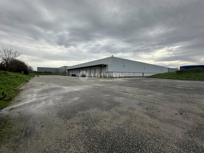 Advenis RES - Immobilier d'entreprises