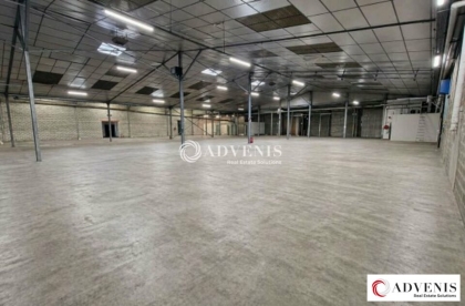 Advenis RES - Immobilier d'entreprises