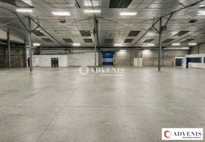 Advenis RES - Immobilier d'entreprises