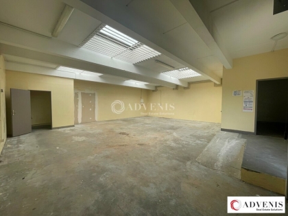 Advenis RES - Immobilier d'entreprises