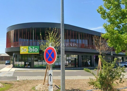 Advenis RES - Immobilier d'entreprises