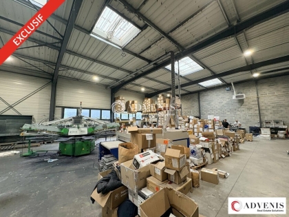 Advenis RES - Immobilier d'entreprises