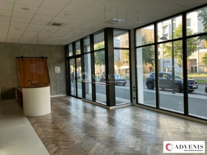 Advenis RES - Immobilier d'entreprises