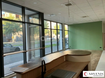 Advenis RES - Immobilier d'entreprises