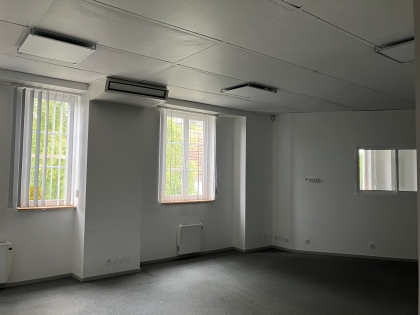 Advenis RES - Immobilier d'entreprises