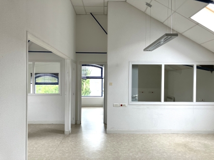 Advenis RES - Immobilier d'entreprises