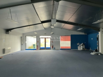Advenis RES - Immobilier d'entreprises