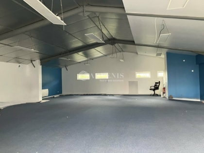 Advenis RES - Immobilier d'entreprises