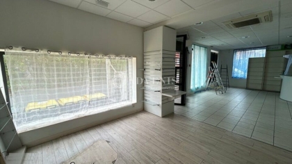 Advenis RES - Immobilier d'entreprises