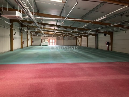 Advenis RES - Immobilier d'entreprises