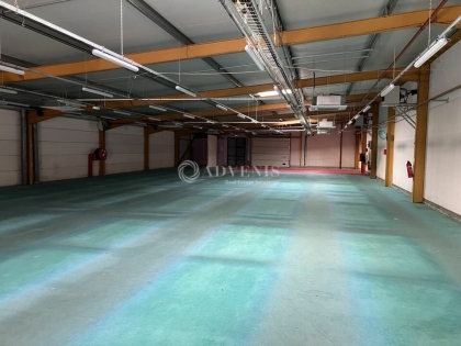 Advenis RES - Immobilier d'entreprises