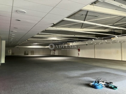 Advenis RES - Immobilier d'entreprises