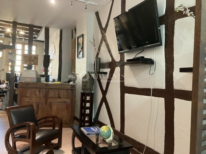 Advenis RES - Immobilier d'entreprises