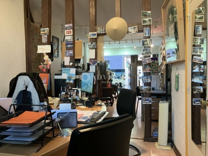 Advenis RES - Immobilier d'entreprises