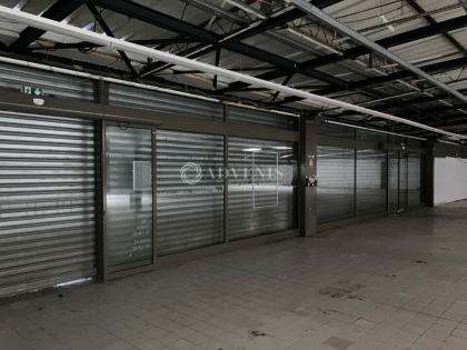 Advenis RES - Immobilier d'entreprises