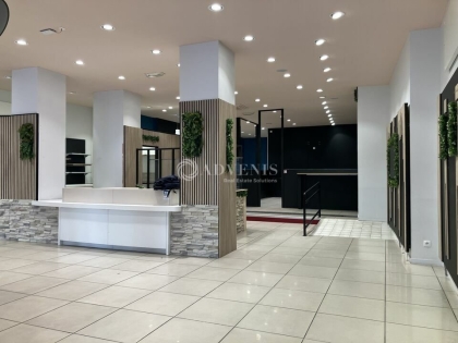 Advenis RES - Immobilier d'entreprises