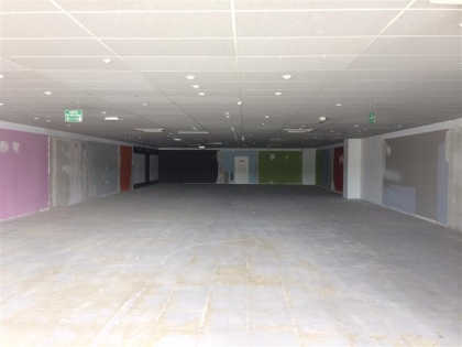 Advenis RES - Immobilier d'entreprises