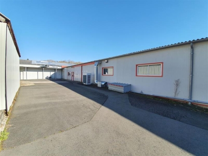 Advenis RES - Immobilier d'entreprises