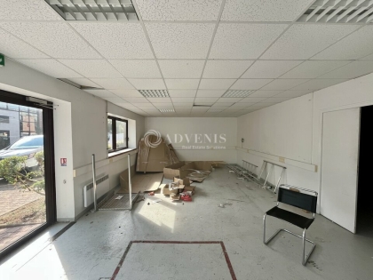 Advenis RES - Immobilier d'entreprises