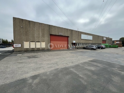 Advenis RES - Immobilier d'entreprises