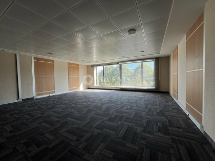 Advenis RES - Immobilier d'entreprises