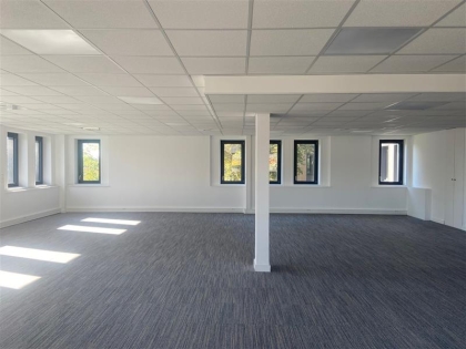 Advenis RES - Immobilier d'entreprises
