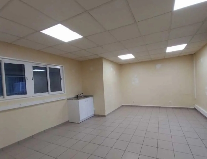 Advenis RES - Immobilier d'entreprises
