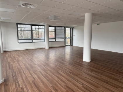 Advenis RES - Immobilier d'entreprises