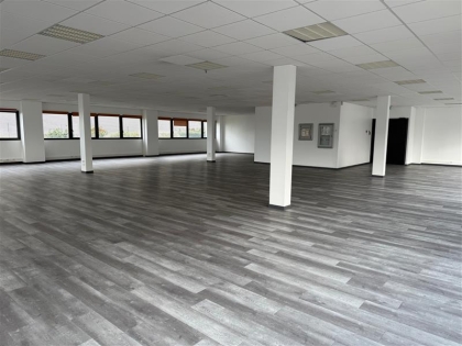 Advenis RES - Immobilier d'entreprises