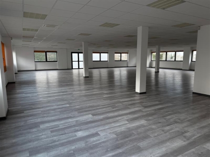 Advenis RES - Immobilier d'entreprises