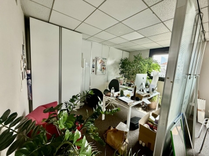 Advenis RES - Immobilier d'entreprises