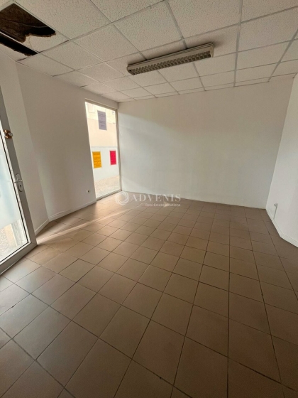 Advenis RES - Immobilier d'entreprises