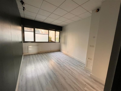 Advenis RES - Immobilier d'entreprises