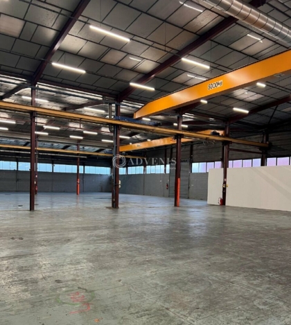 Advenis RES - Immobilier d'entreprises