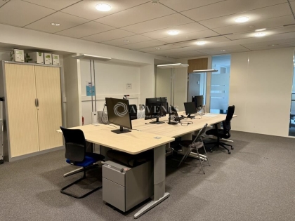 Advenis RES - Immobilier d'entreprises