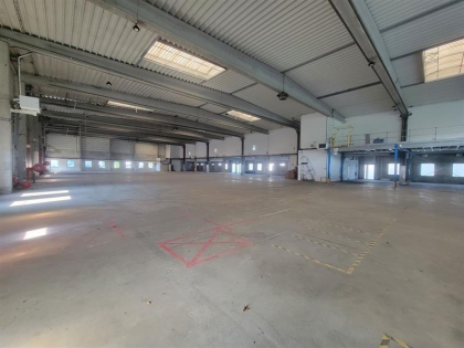 Advenis RES - Immobilier d'entreprises