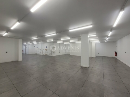 Advenis RES - Immobilier d'entreprises