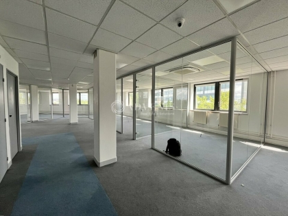 Advenis RES - Immobilier d'entreprises