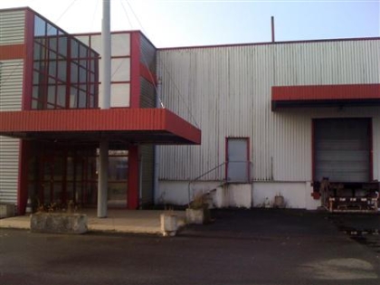 Location Activités Entrepôts NIEPPE - Photo 1