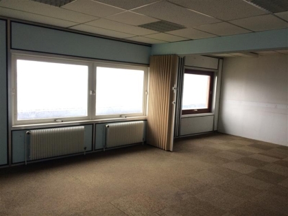Advenis RES - Immobilier d'entreprises