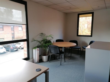 Location Bureaux LEZENNES - Photo 2