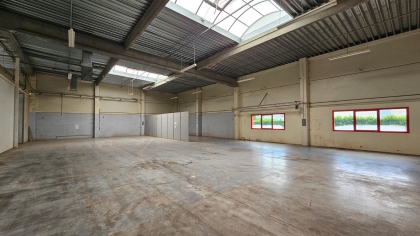 Advenis RES - Immobilier d'entreprises