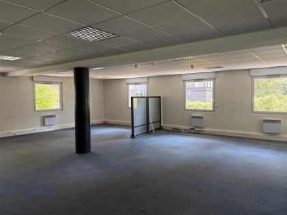 Advenis RES - Immobilier d'entreprises