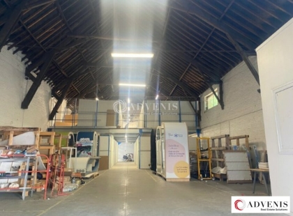 Advenis RES - Immobilier d'entreprises