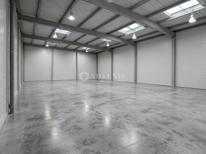 Advenis RES - Immobilier d'entreprises