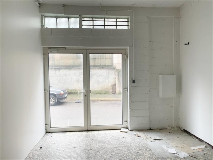 Advenis RES - Immobilier d'entreprises