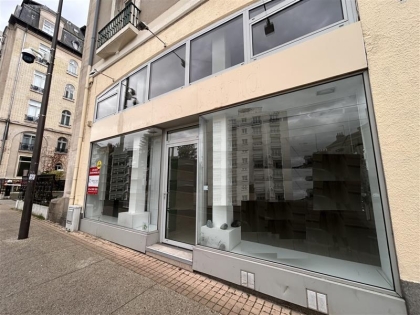 Advenis RES - Immobilier d'entreprises