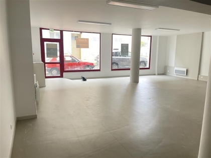 Advenis RES - Immobilier d'entreprises
