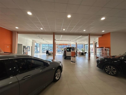 Advenis RES - Immobilier d'entreprises